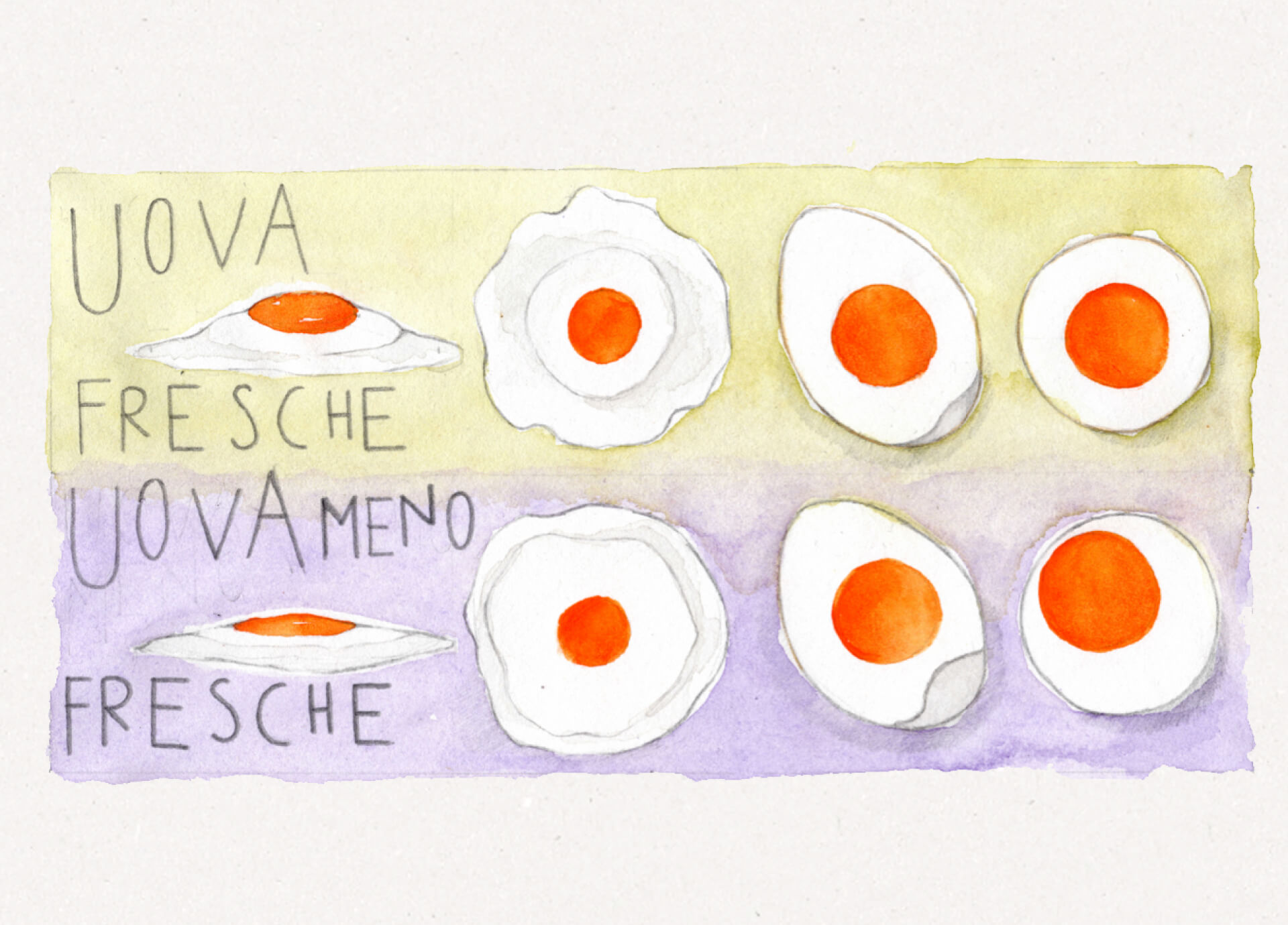 Acquerello uova
